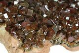 Vanadinite Cluster From Morocco - Epic Plate Of Large Crystals! #84452-4
